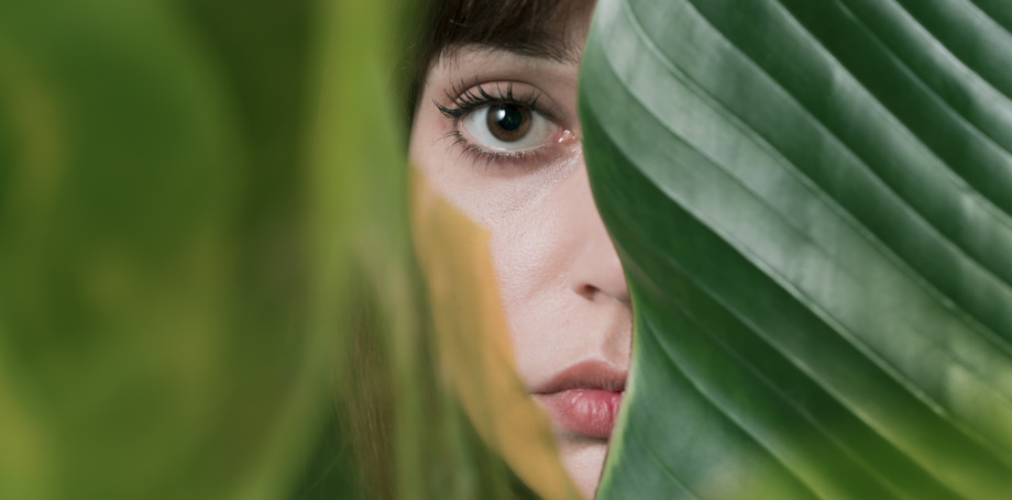 Beauty and Consciousness