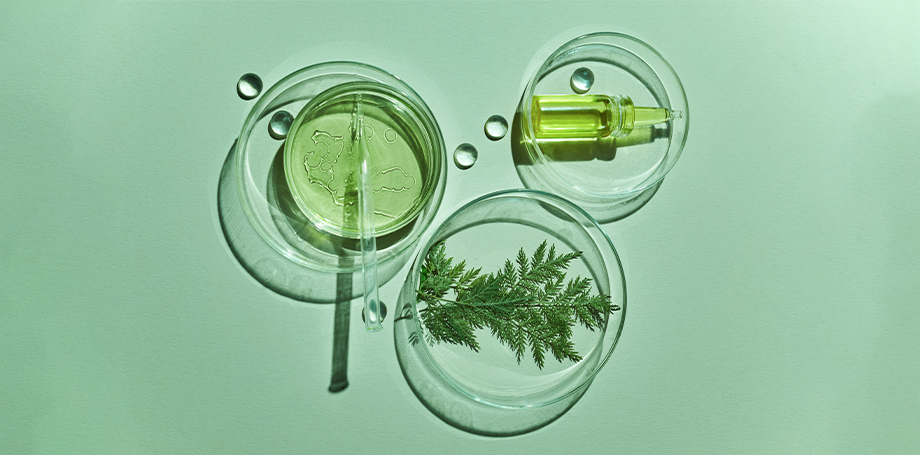 Sustainable alternatives in the beauty industry