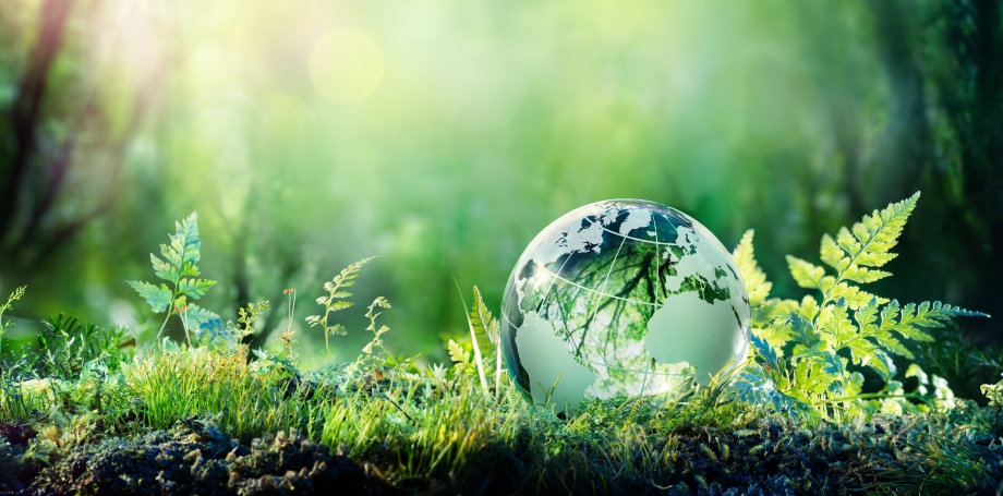 Für Haut und Umwelt